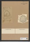 Cerataulus subangulatus Gr. et St. (de-Toni-Nr.: Genus 173, Species 4444) Zeichnungen Sammlung Grunow Nr. 8016 (NHMW-BOT-W0377317)